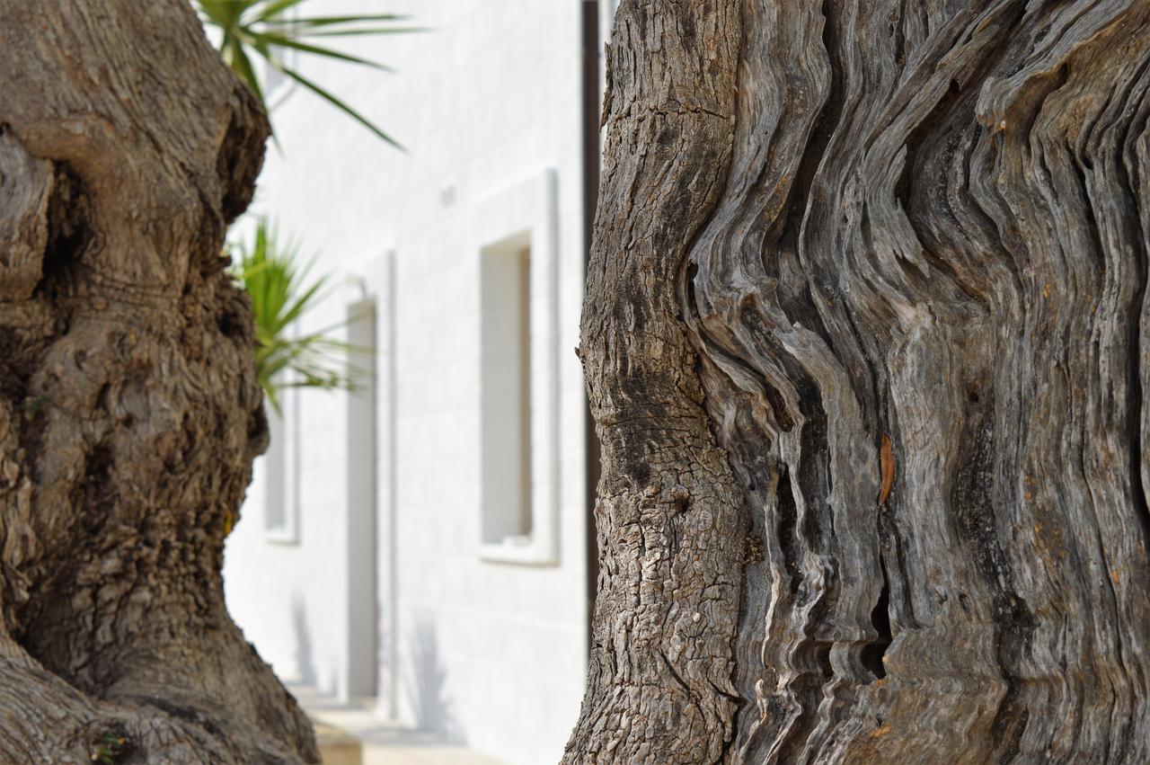 Masseria Torrepietra Monopoli Eksteriør billede